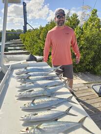 MACKERAL ARE BITING