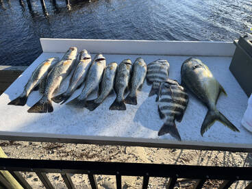 Fort Myers Report Photo 1