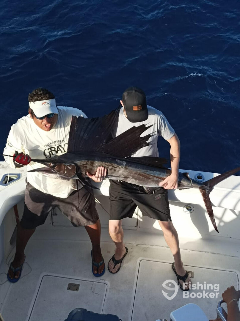 Puerto Aventuras Report Photo 0