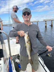Punta Gorda Report Photo 2