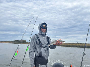 Savannah Report Photo 2