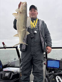 Wyandotte Report Photo 1