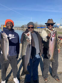 Wold winter Steelhead.