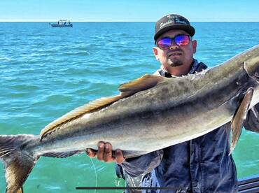 Beat these fish win free shirts & $100