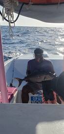 Playa Del Carmen Report Photo 2
