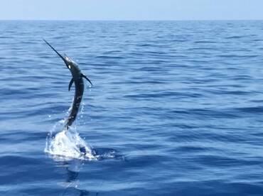 Key West Report Photo 1