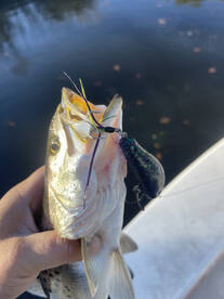 Eastern carolina screaming drags 