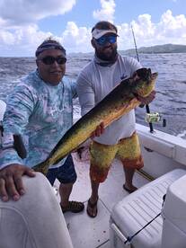 Christiansted Report Photo 1
