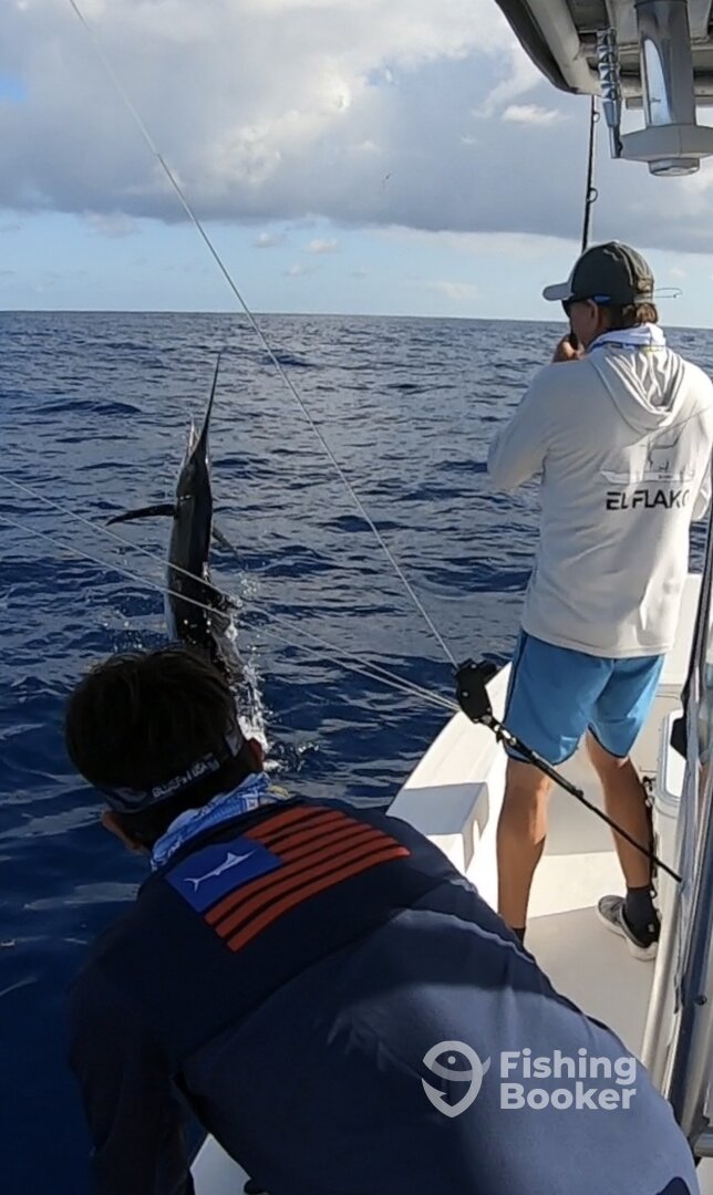 San Juan Report Photo 0