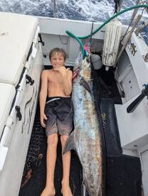 Haleiwa Report Photo 1
