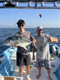 Puerto Vallarta Report Photo 2