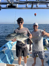 Puerto Vallarta Report Photo 1