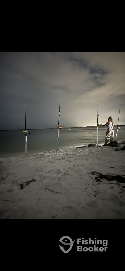 Anna Maria Report Photo 0