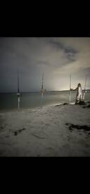 Drop Zone Shark Fishing Tampa Listing 