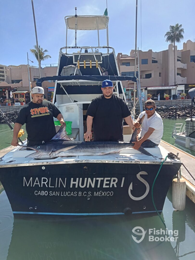 Cabo San Lucas Report Photo 0