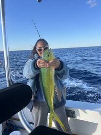 Mahi mahi
