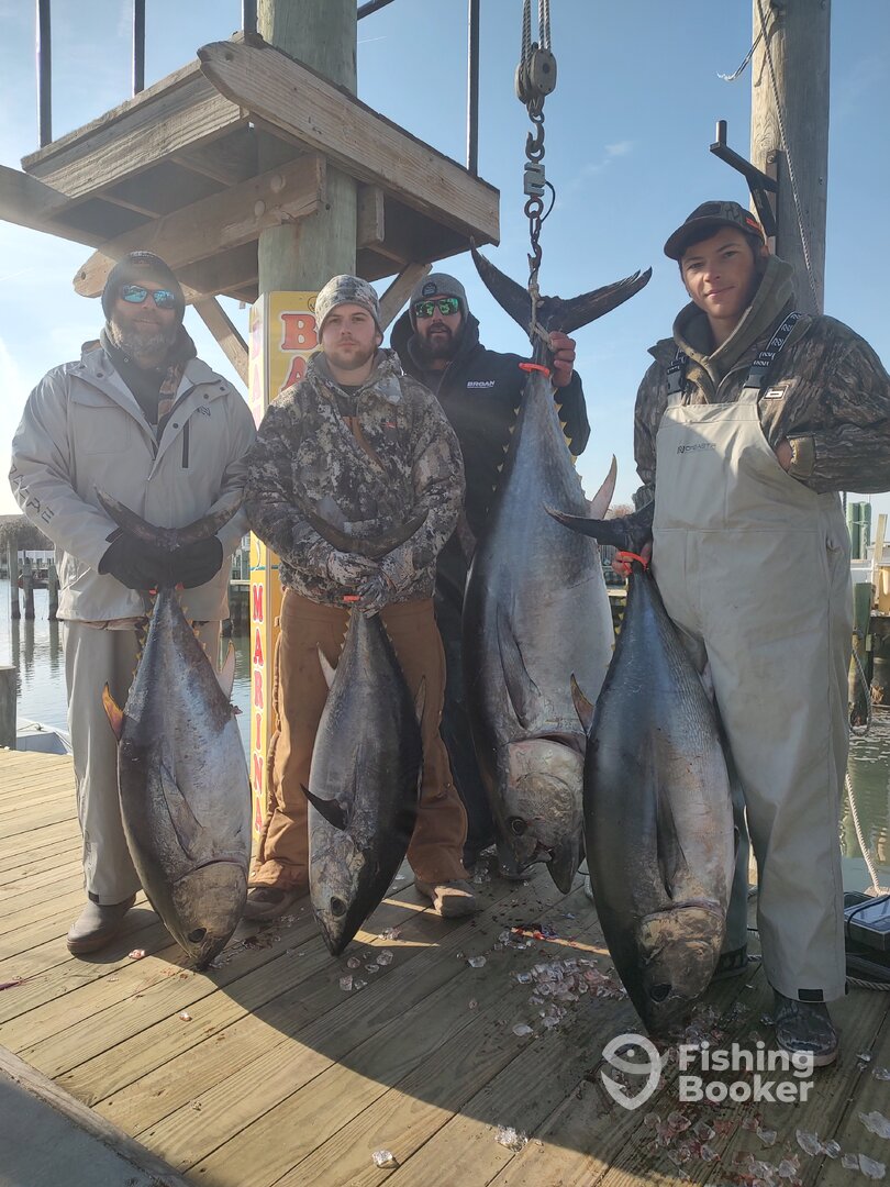 Ocean City Report Photo 0