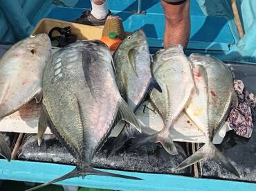  A Memorable Day with Joep