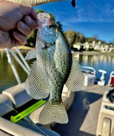 Get ready for a crappie fishing adventur
