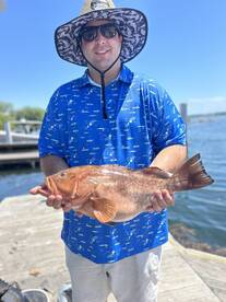 Lucky grouper