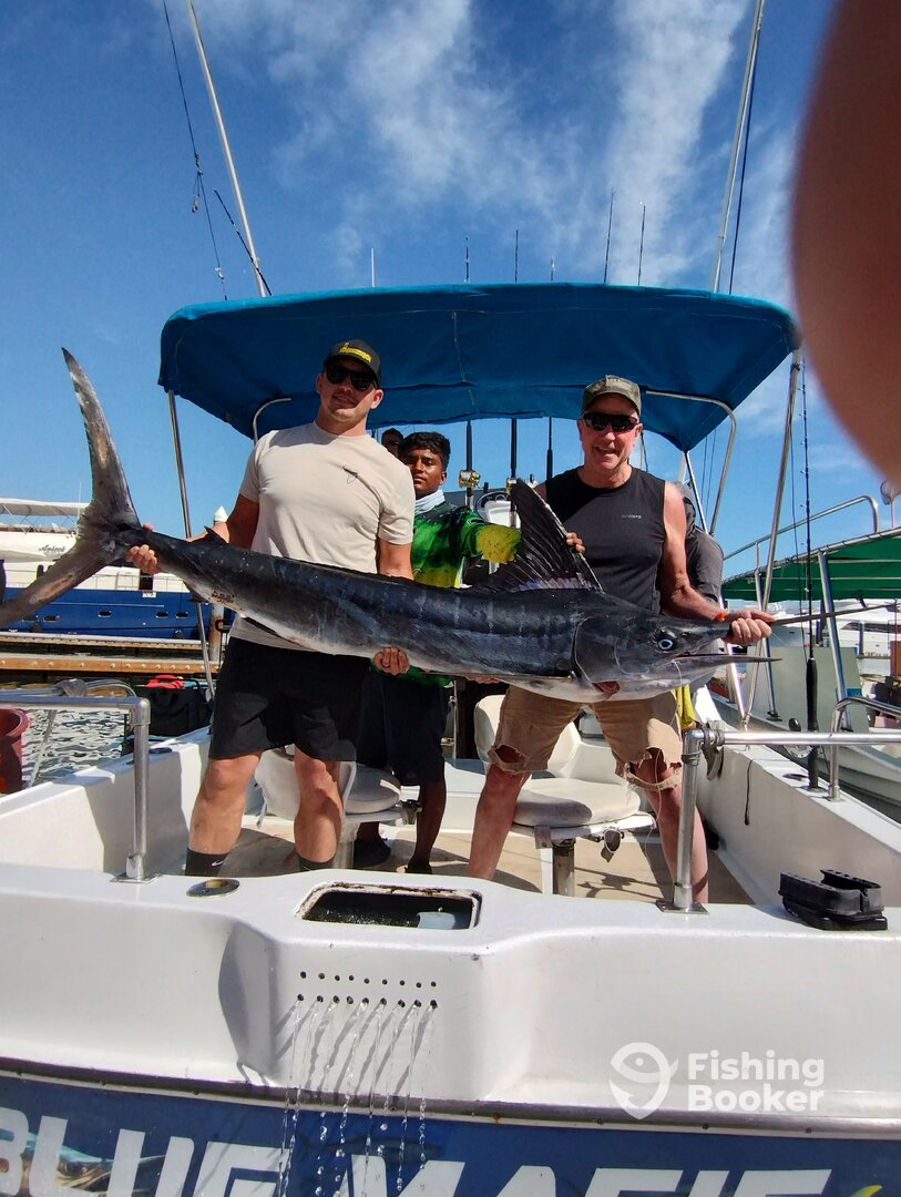 Cabo San Lucas Report Photo 0