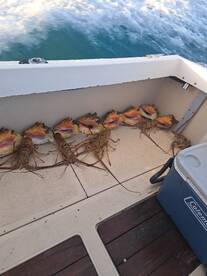 Fishing snorkeling combo excursion 