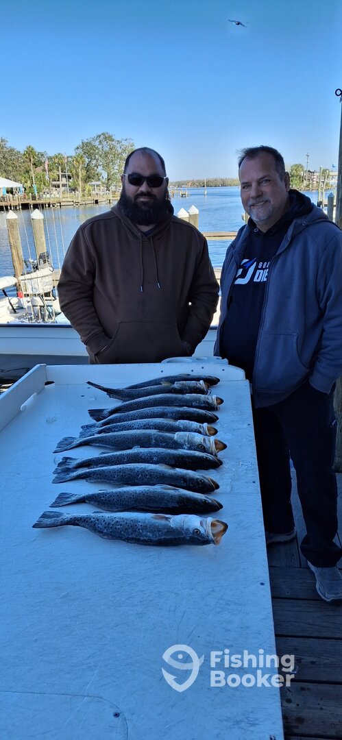Homosassa Report Photo 0