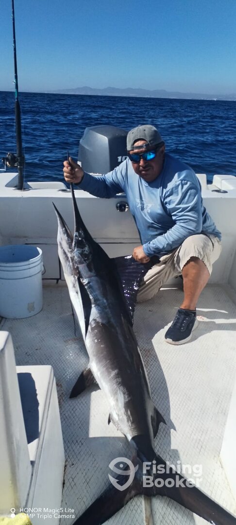 San Jose del Cabo Report Photo 0