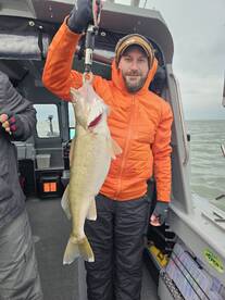 Winter walleye.