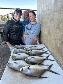 Big School of Permit