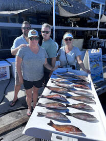 Snappers are biting inshore! 