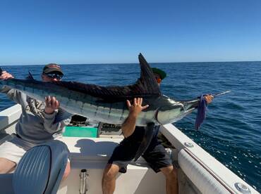 STRIPED MARLIN