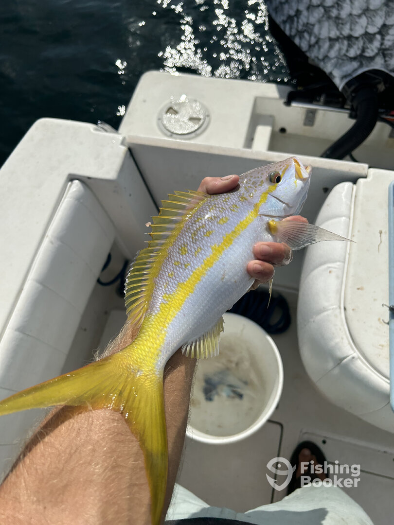 Boynton Beach Report Photo 0