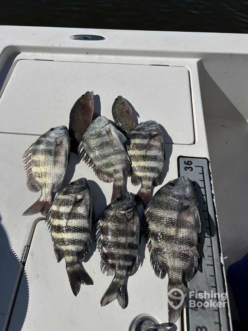 Captiva Report Photo 0