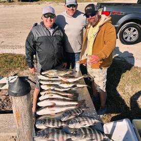 Captiva Report Photo 1