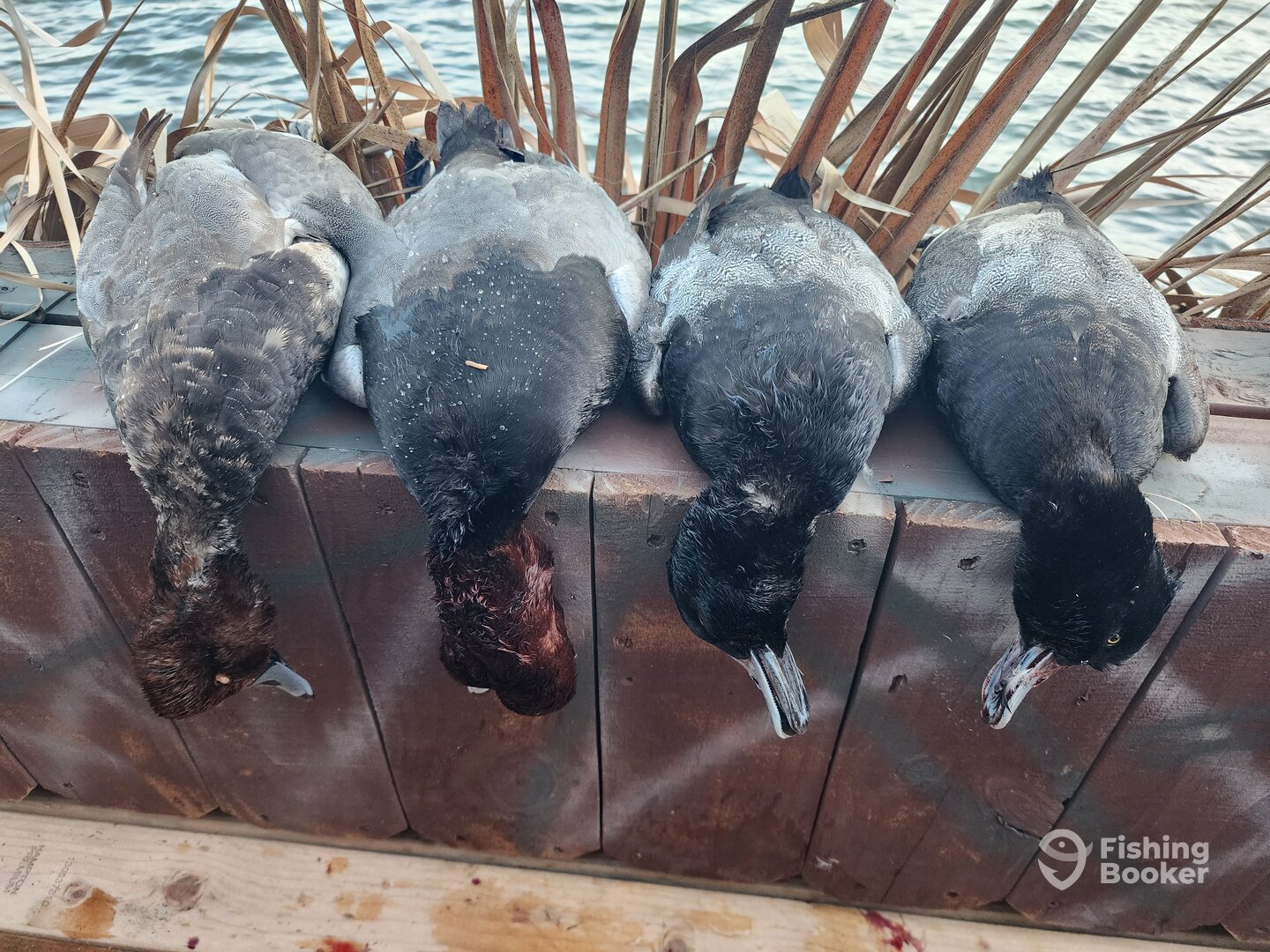 Corpus Christi Report Photo 0