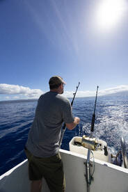 Haleiwa Report Photo 1