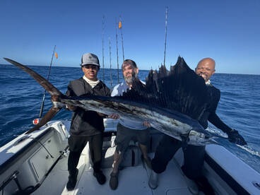 Islamorada Report Photo 2
