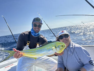 Merry Mahi Mahi !!
