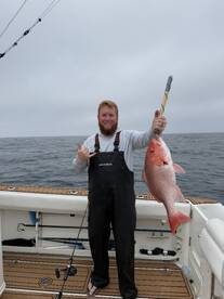 Destin Report Photo 1