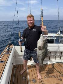 Destin Report Photo 2