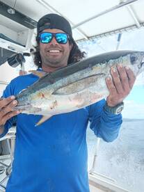 Yellowfin tuna 