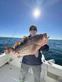 Excellent time of year!!