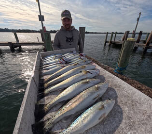 Speckeled Trout!