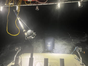 Late afternoon wahoo troll  