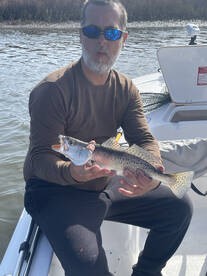 Big trout moving inside the marsh 
