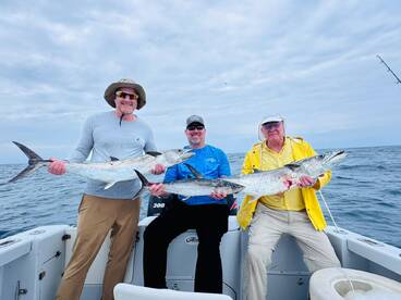 Grouper, Barracuda, Amber Jack, Pargay