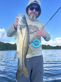 Carolina Report Photo 2