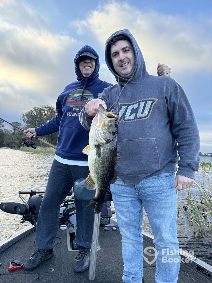 Tarpon Springs Report Photo 0