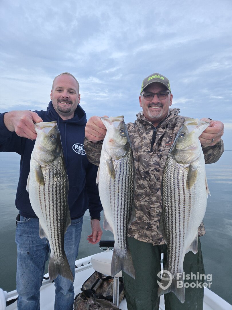 Chincoteague Report Photo 0